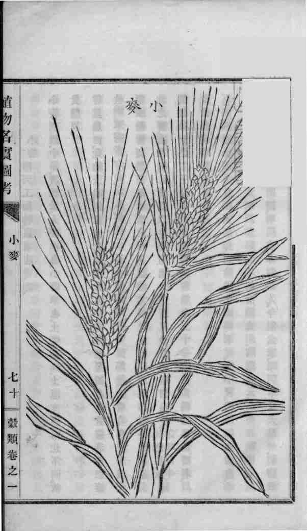 植物名实图考  卷1
